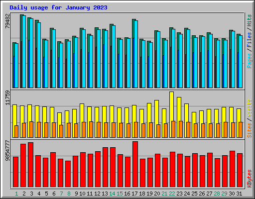 Daily usage for January 2023