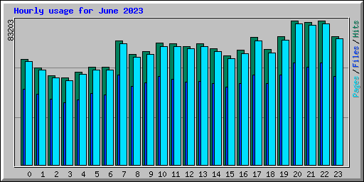 Hourly usage for June 2023