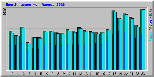 Hourly usage for August 2023