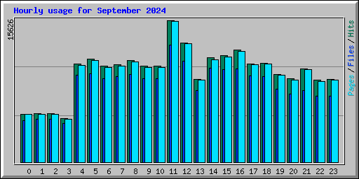 Hourly usage for September 2024