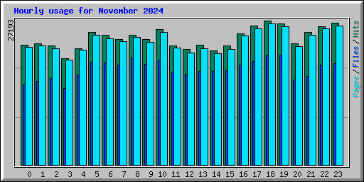 Hourly usage for November 2024