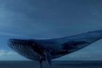 W marcu 2017 napisałam dwie notki: “Idioci też mają prawo do życia, czyli “Niebieski Wieloryb” {TUTAJ (link is external)} oraz “”Niebieski Wieloryb” w oceanie postprawdy” {TUTAJ (link is external)}. Omawiałam […]