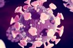 „Białko kolczaste jest toksyną”, mówi patolog dr Ryan Cole, i prawie na pewno powoduje raka w wielu przypadkach. “Wiemy, że białko kolczaste może indukować szlaki nowotworowe. I to się dzieje. […]