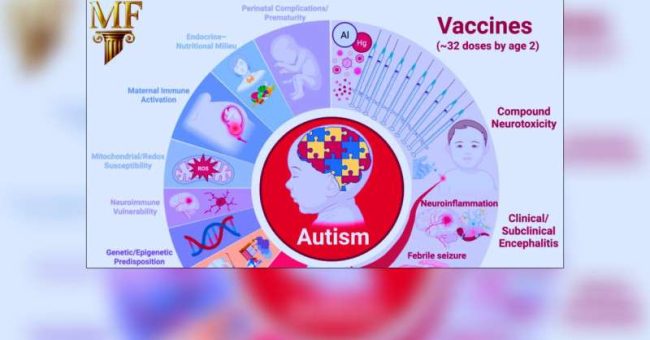 „Najbardziej rzucającą się w oczy cechą tego gwałtownie rosnącego trendu zapadalności i rozpowszechnienia autyzmu jest to, że rozpoczął się on wkrótce po uchwaleniu w 1986 roku Krajowej Ustawy o Urazach […]