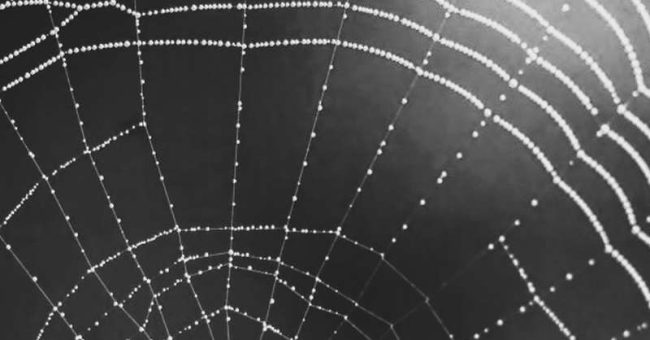 „Jej ścieżka biegnie między dowodami historycznymi a zobowiązaniem finansowym – punktem, w którym, dzięki sprawiedliwości międzypokoleniowej, fakt dotyczący tego, kto co wyemitował, staje się twierdzeniem o tym, kto komu co [&hellip;]