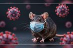 Pomimo negocjacji Porozumienia Pandemicznego od czasu zakończenia pandemii covid-19, państwa członkowskie WHO nie zdołały uzgodnić aneksu dotyczącego dostępu do patogenów i podziału korzyści (PABS), który określałby sposób udostępniania informacji o [&hellip;]