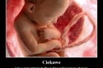 Polecam Państwu zapoznanie się ze stroną internetową http://www.numberofabortions.com/ , na której pokazywana jest w czasie rzeczywistym liczba aborcji rejestrowanych w placówkach aborcyjnych w USA i na całym świecie. Chociaż licznik […]