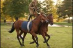 Poczta węgierska[1] to jazda na stojąco jednocześnie na dwóch koniach.  Wbrew pozorom, dopóki konie idą pełnym galopem nie ma w tym nic trudnego. Chwila prawdy następuje, gdy zatrzymując konie trzeba […]